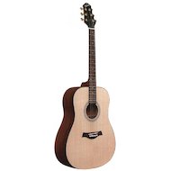 Гитара VISION ACOUSTIC 10