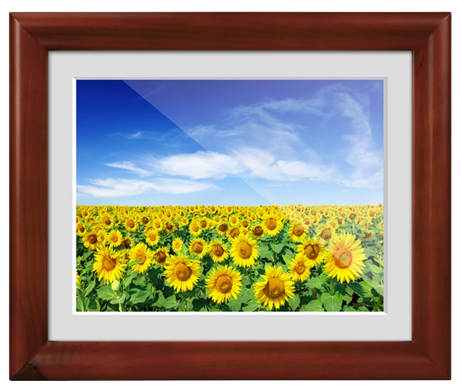 Продажа Цифровых фоторамок
