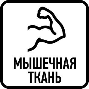 Определение доли мышечной ткани