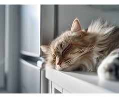 Как выбрать тихий холодильник