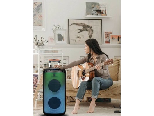 Музыкальный центр TFN PartyBox black