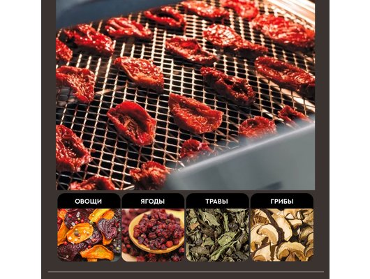 Электрическая мини-печь GFGril GFAO-700