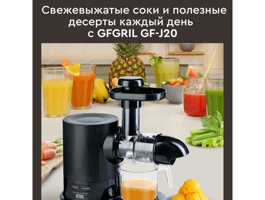 Шнековая соковыжималка GFGril GFJ-20