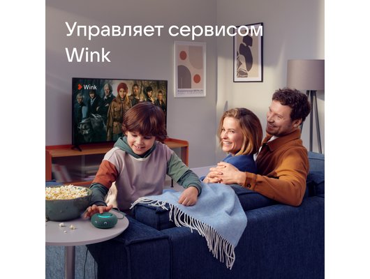 Умная колонка VK КАПСУЛА МИНИ ЗЕЛЕНЫЙ (MRC02SG)