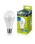 Лампочки LED E27 Ergolux LED-A65-25W-E27-4K