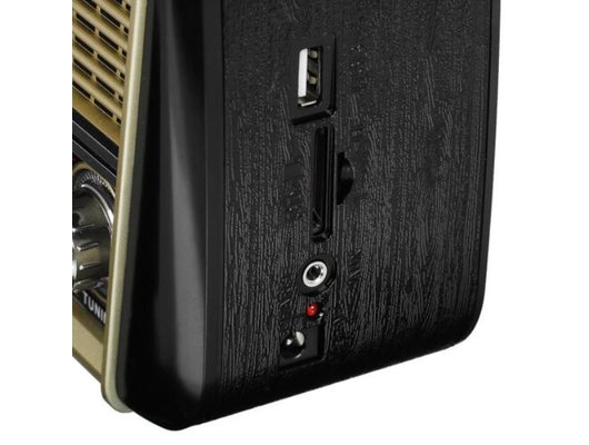 Радиоприемник Ritmix RPR-050 Gold