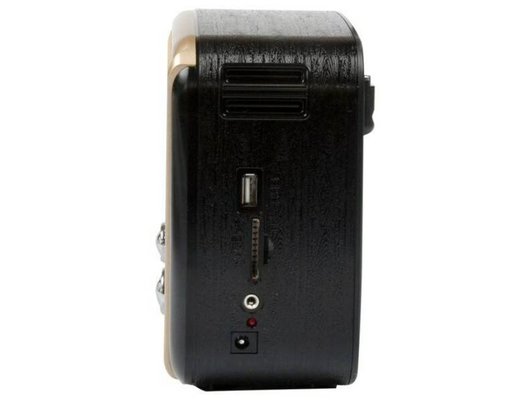 Радиоприемник Ritmix RPR-050 Gold