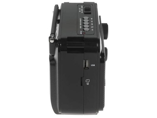 Радиоприемник Ritmix RPR-171