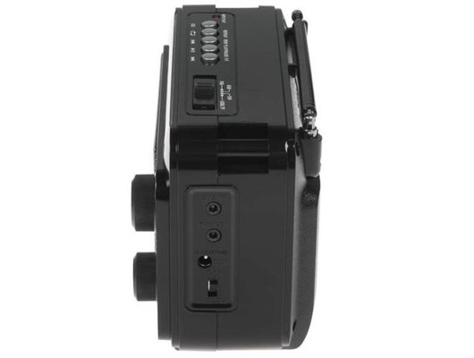 Радиоприемник Ritmix RPR-171