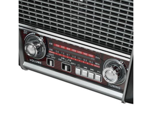 Радиоприемник Ritmix RPR-065