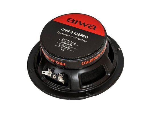 Колонки AIWA ASM-6508PRO