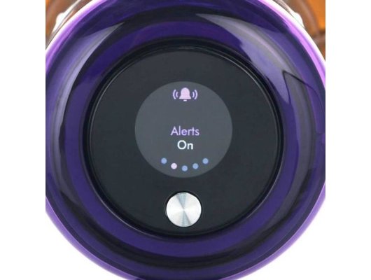 Пылесос DYSON V15 Detect Absolute