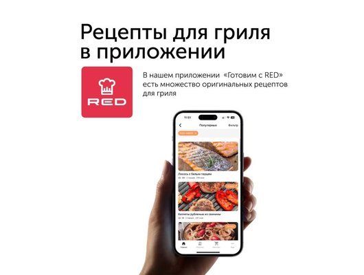 Электрогриль RED solution SteakPRO RGM-M809 черный