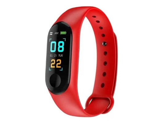 Фитнес-браслет Smarterra Fitmaster Color красный /SMFT-C01R/