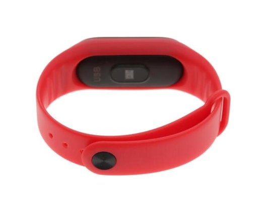 Фитнес-браслет Smarterra Fitmaster Color красный /SMFT-C01R/