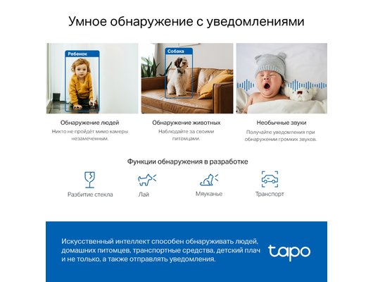 IP камера TP-Link Tapo C220