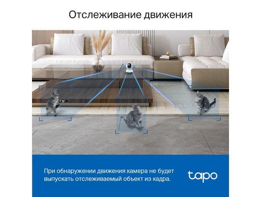 IP камера TP-Link Tapo C220