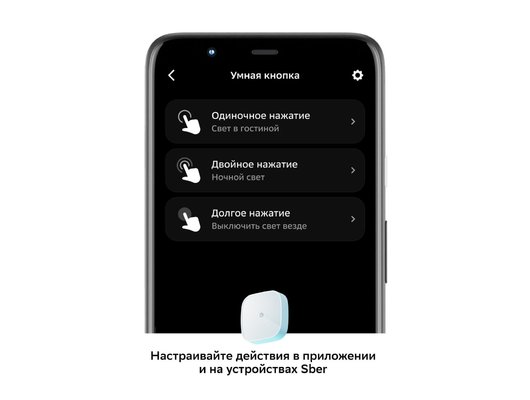 Система управления SBER кнопка управления SBDV-00032