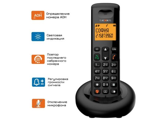 Радиотелефон TeXet TX-D4905A черный