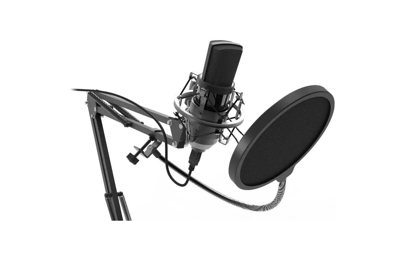 Микрофон ritmix 169. Микрофон Ritmix RDM-169. Ritmix RDM-180