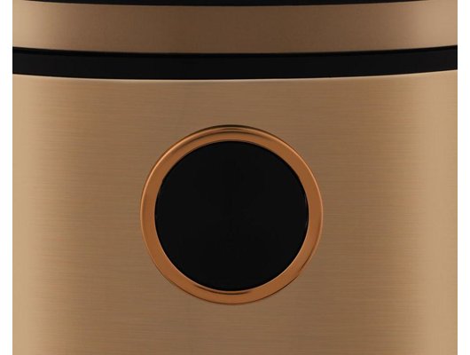 Мультиварка RONDELL RDE-1621