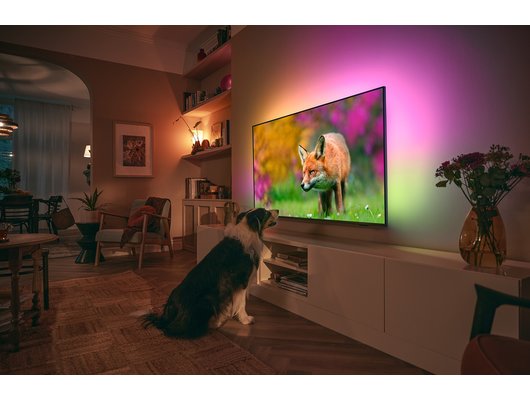 4K (Ultra HD) Smart телевизор PHILIPS 50PUS8519/60