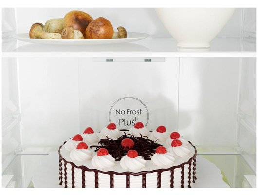 Холодильник CANDY CCRN 6200 B черный (FNF)