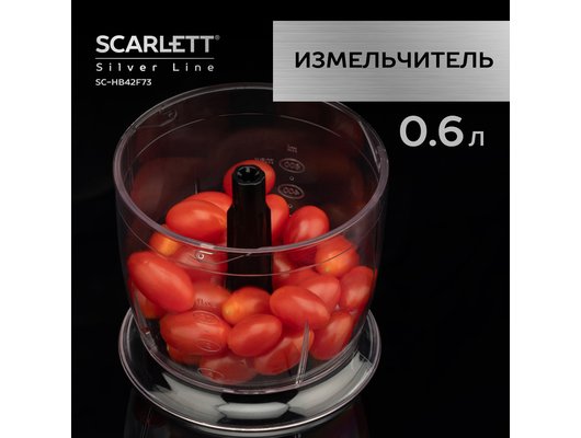 Блендер Scarlett SC-HB42F73