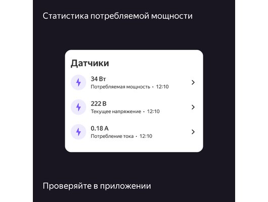 Умная розетка ЯНДЕКС YNDX-00540BLK Черная