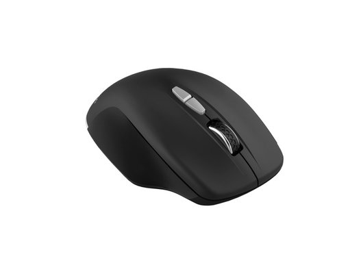 Мышь беспроводная CANYON CNS-CMSW21B Black