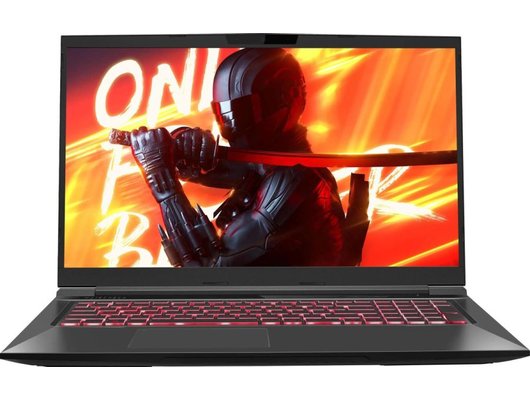 Ноутбук игровой Maibenben X725/X725FSFNLBRE0/Core i5-12450H/16Gb/512Gb/17.3 FHD 144Hz/RTX 4060 8Gb/Linux черный