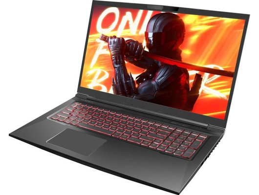 Ноутбук игровой Maibenben X725/X725FSFNLBRE0/Core i5-12450H/16Gb/512Gb/17.3 FHD 144Hz/RTX 4060 8Gb/Linux черный