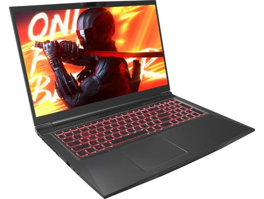Ноутбук игровой Maibenben X725/X725FSFNLBRE0/Core i5-12450H/16Gb/512Gb/17.3 FHD 144Hz/RTX 4060 8Gb/Linux черный