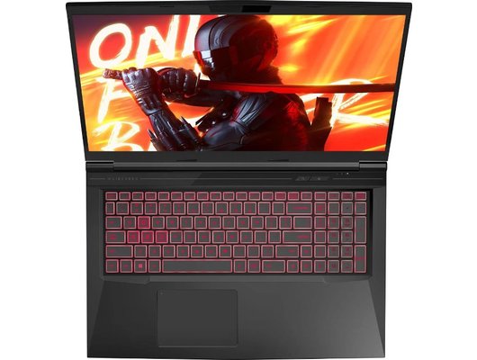 Ноутбук игровой Maibenben X725/X725FSFNLBRE0/Core i5-12450H/16Gb/512Gb/17.3 FHD 144Hz/RTX 4060 8Gb/Linux черный