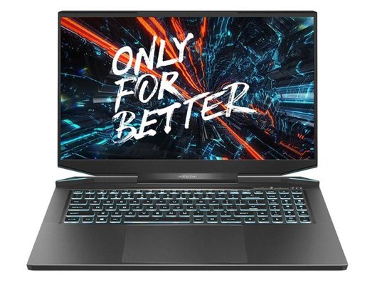 Ноутбук игровой Maibenben X725/X725FSFNLBRE0/Core i5-12450H/16Gb/512Gb/17.3 FHD 144Hz/RTX 4060 8Gb/Linux черный
