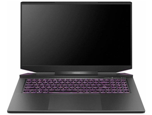 Ноутбук игровой Maibenben X725/X725FSFNLBRE0/Core i5-12450H/16Gb/512Gb/17.3 FHD 144Hz/RTX 4060 8Gb/Linux черный