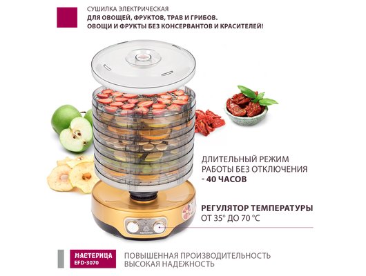 Сушилка МАСТЕРИЦА EFD 3070 черно-золотистый
