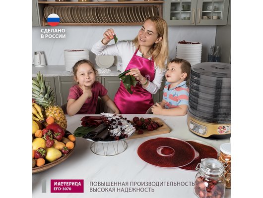 Сушилка МАСТЕРИЦА EFD 3070 черно-золотистый