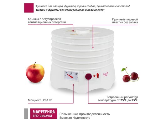 Сушилка МАСТЕРИЦА EFD 0502VM