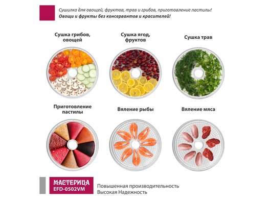 Сушилка МАСТЕРИЦА EFD 0502VM