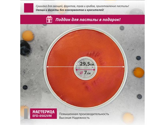 Сушилка МАСТЕРИЦА EFD 0502VM