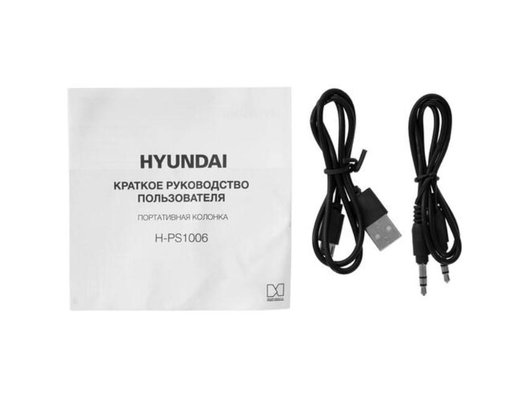 Портативная акустика HYUNDAI H-PS1006 черный