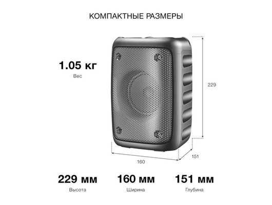 Портативная акустика HYUNDAI H-PS1006 черный