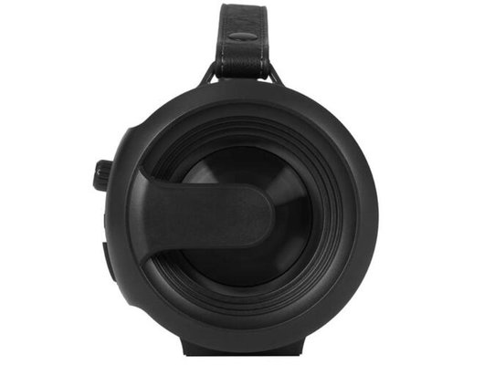 Портативная акустика DIGMA D-PS1523 ЧЕРНЫЙ