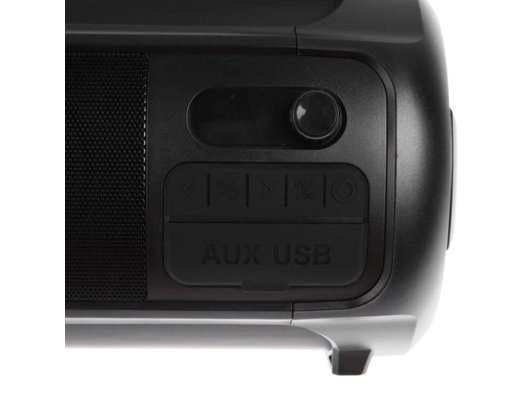 Портативная акустика DIGMA D-PS1523 ЧЕРНЫЙ