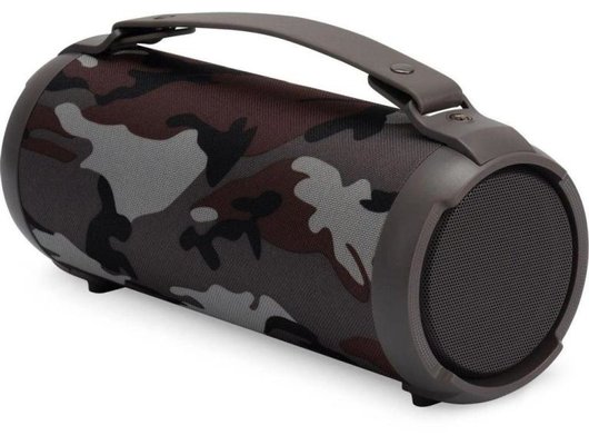 Портативная акустика DIGMA D-PS1520 КАМУФЛЯЖ/КАМУФЛЯЖ