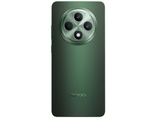 Смартфон OPPO Reno 12F 8/256Gb Green