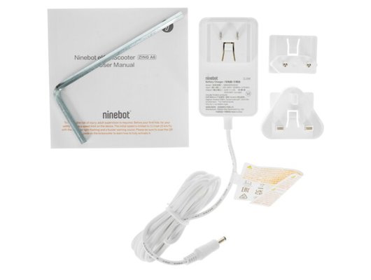 Электросамокат NINEBOT KICKSCOOTER A6