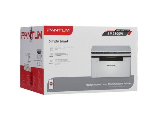 МФУ Pantum BM2300