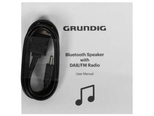 Портативная акустика GRUNDIG GBT BAND